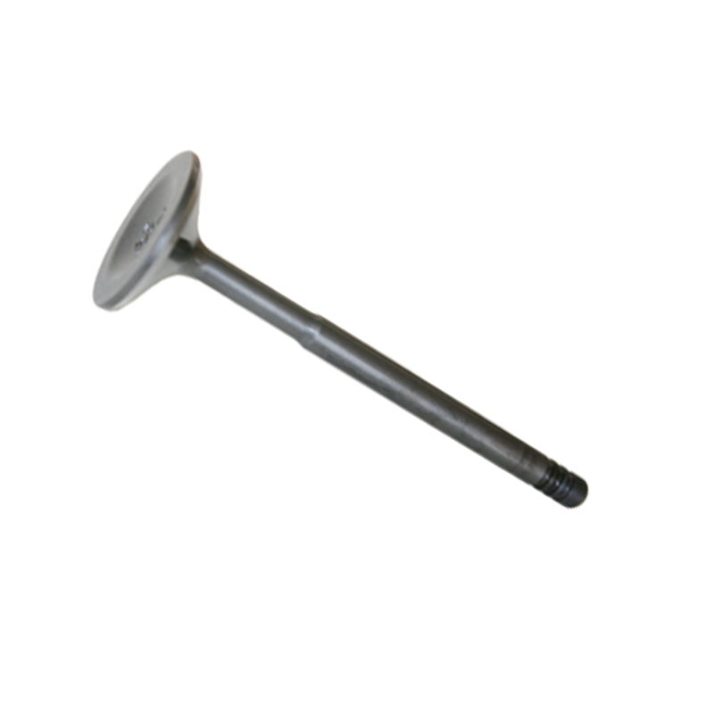 Exhaust valve (19)
