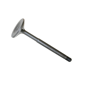 Exhaust valve (19)