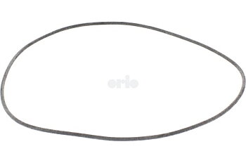O-ring