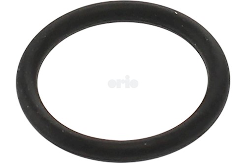 O-ring