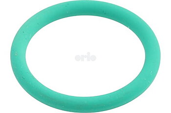 O-ring