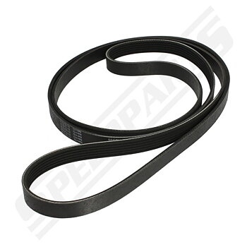 Drive Belt