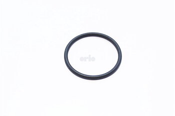 O-ring