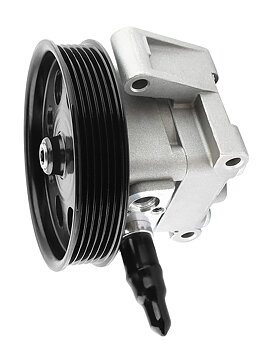 Power steering pump (24)