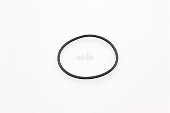 O-ring