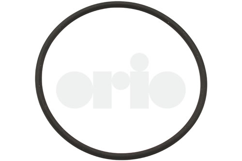 O-ring