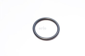 O-ring