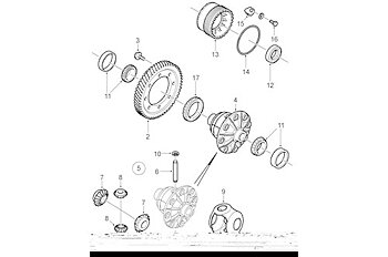 O-ring