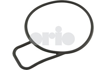 O-ring