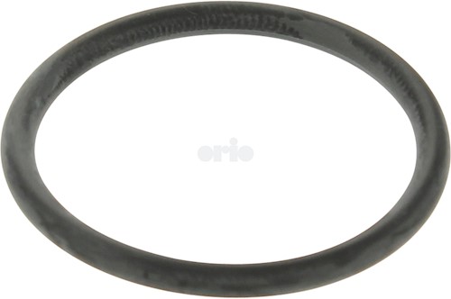 O-ring