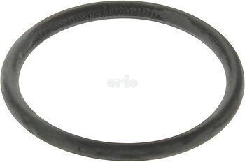 O-ring