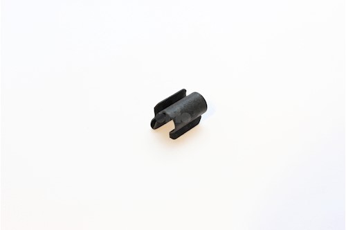 CLIPS