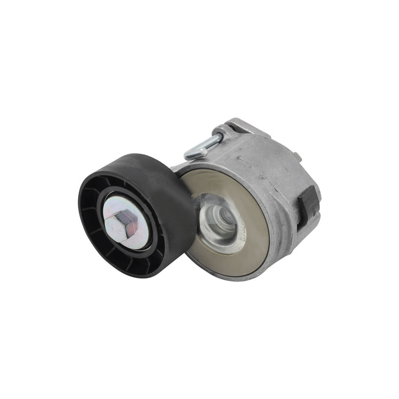 Tensioner  (4)