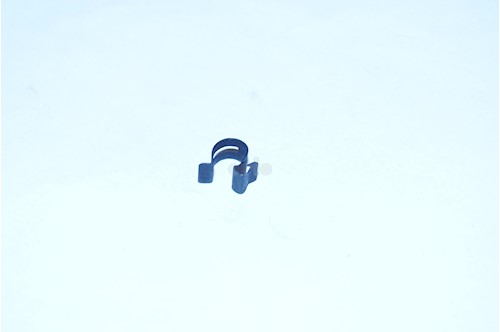 CLIPS