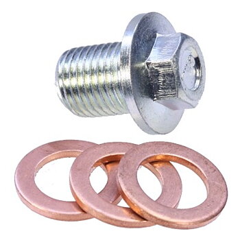 Oil plug with sealings (24)