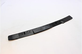 Fäste