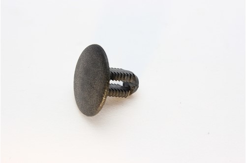 Nit
