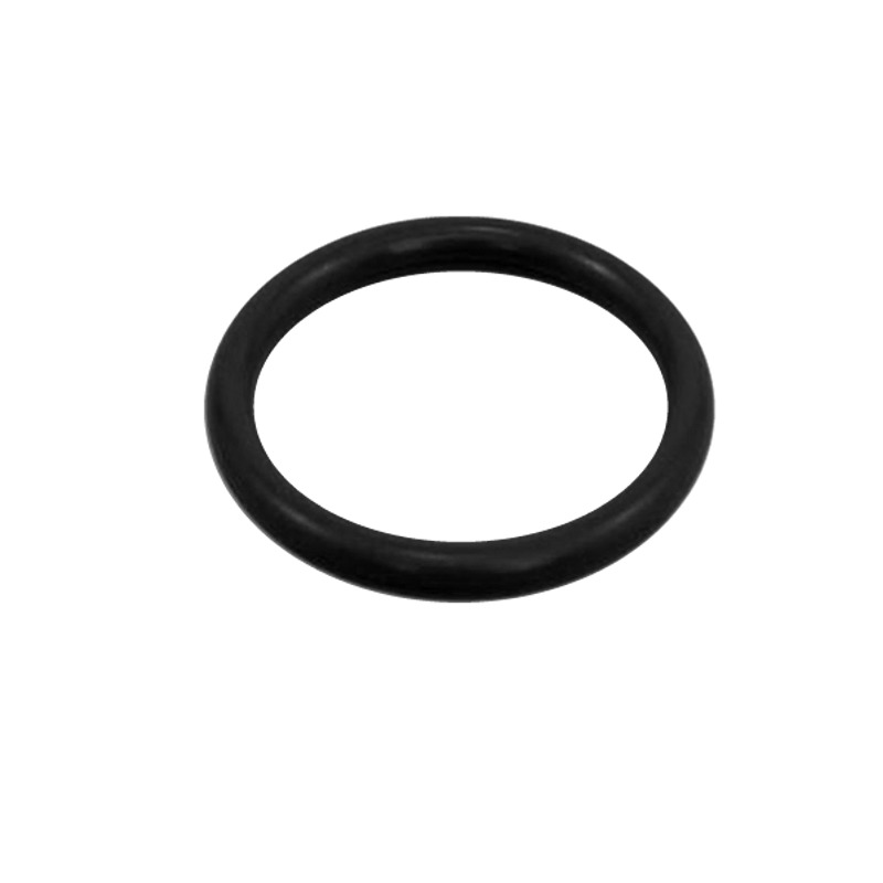 O-ring Bypass pipe B205/235 (10)