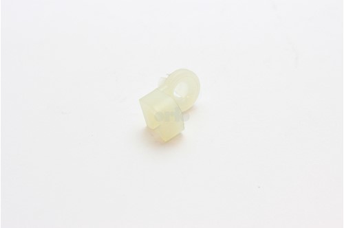 CLIPS