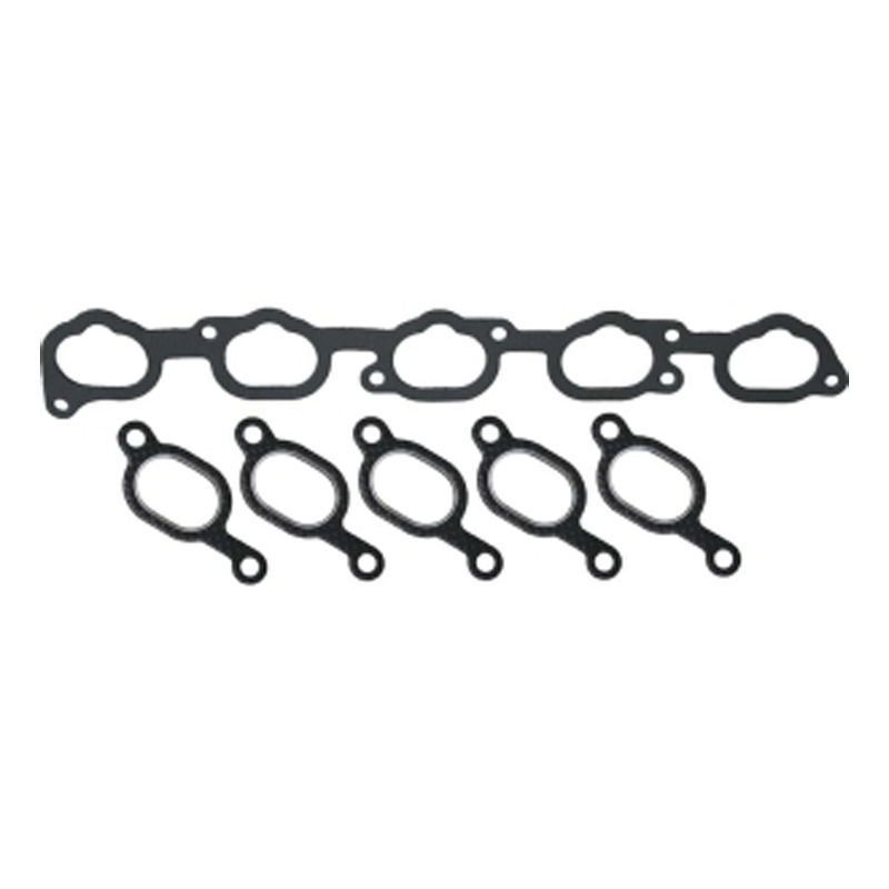 Manifold gasket kit