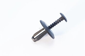 Nit
