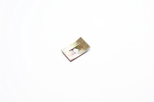 CLIPS