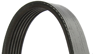 Drive belt (10)