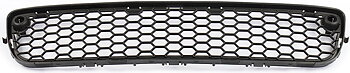 Grille lower