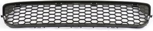 Grille lower