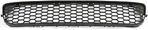 Grille lower