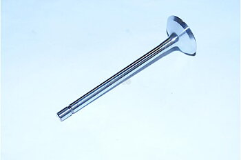 Avgasventil