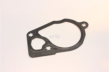 Gasket thermostat
