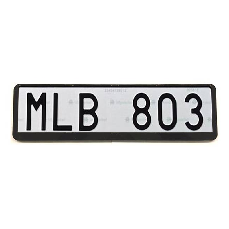 License plate holder - 2