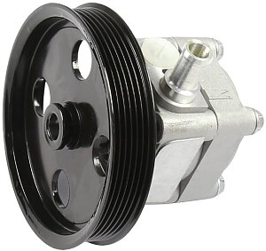 Power steering pump (24)
