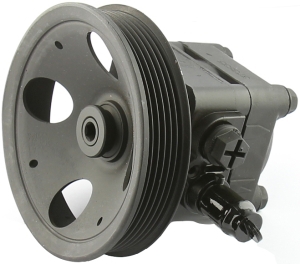 Power steering pump (24)