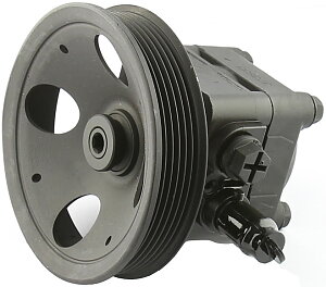 Power steering pump (24)