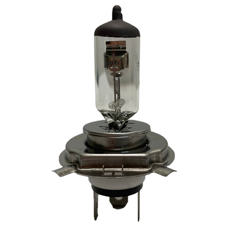 Halogen bulb H4 55/60W - 2