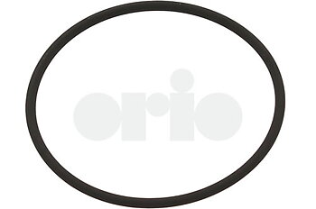 O-ring