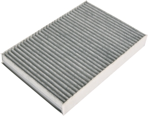 Fresh air filter carbon