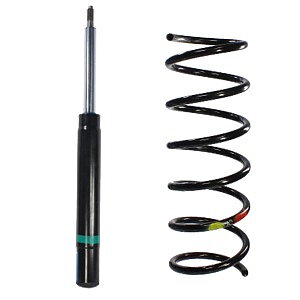 Shock Absorber and Spring