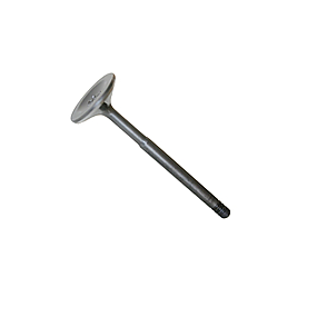 Exhaust valve