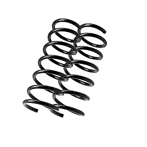 Rear springs