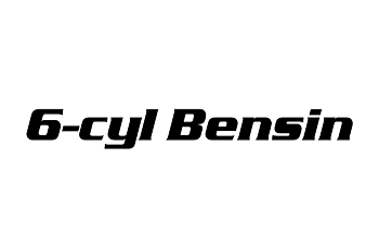 6-cyl Petrol