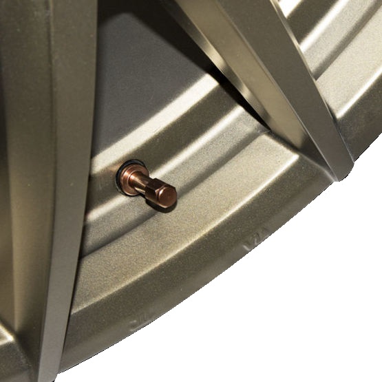 Metallventil X2 TR48E Koppar – Aluminiumventil | Carbonado - 3