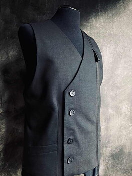    THE VEST
