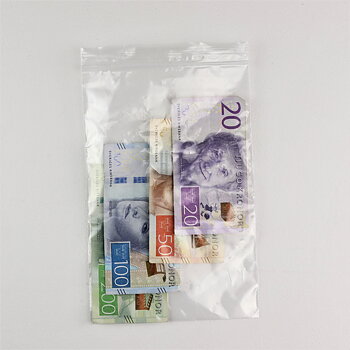 Redovisningspåsar - 100 pack