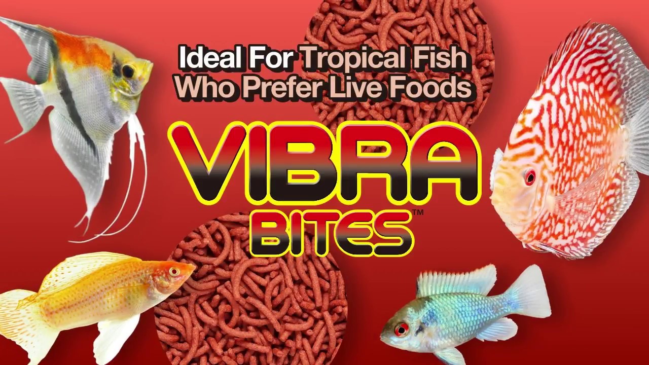 HIKARI VIBRA BITES LÖSVIKT - 4