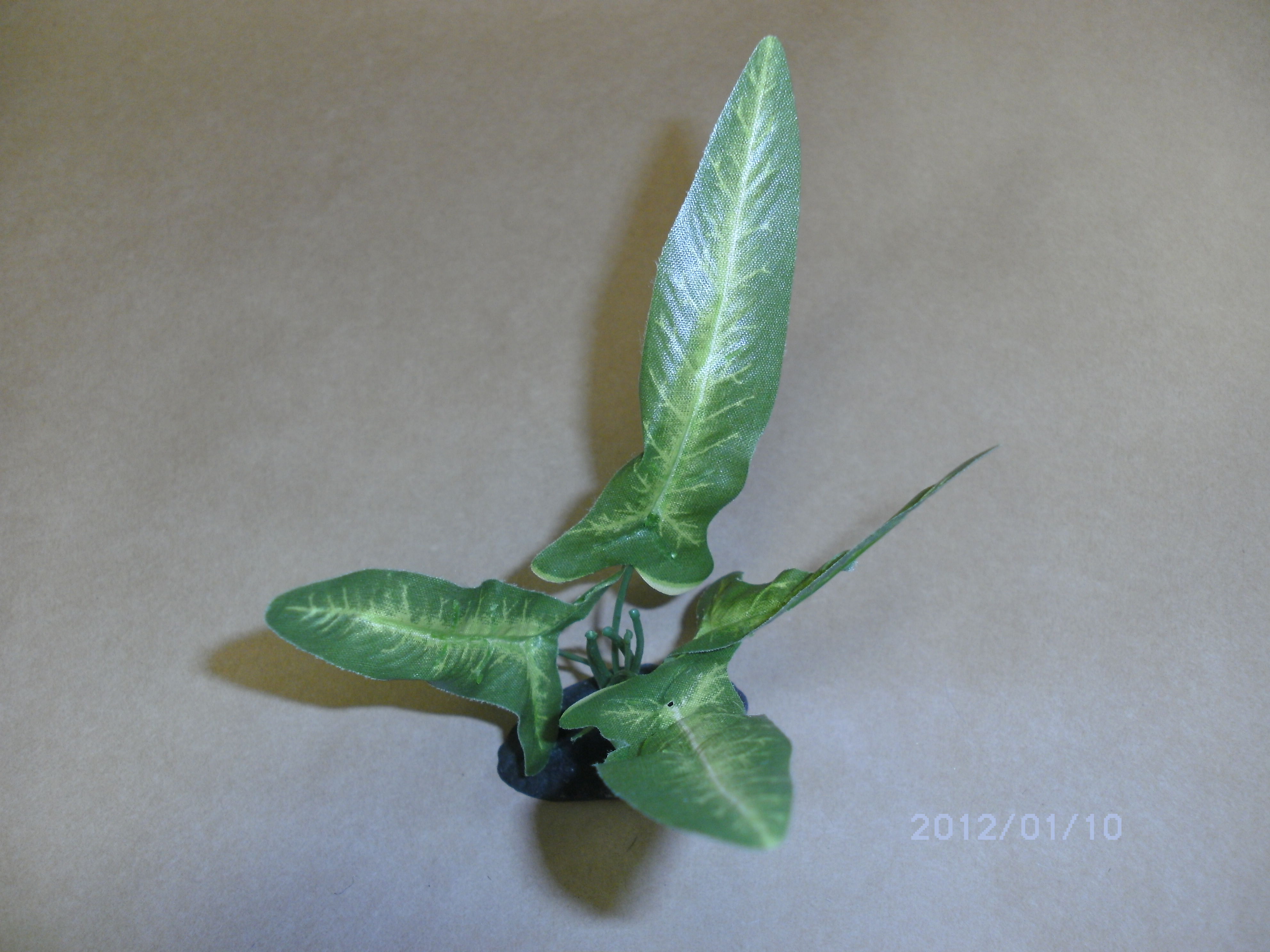 Dekoration sidenväxt syngonium 15cm