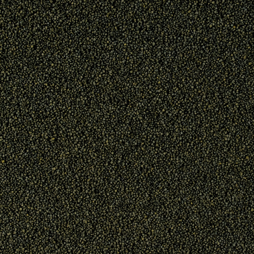 Tropical Spirulina Super Forte Mini Granulat 36% Spirulina Lösvikt - 2