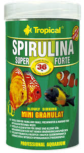 Tropical Spirulina Super Forte Mini Granulat 36% Spirulina Lösvikt
